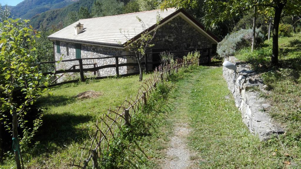 Agriturismo Il Mulino Stibiveri Kültér fotó