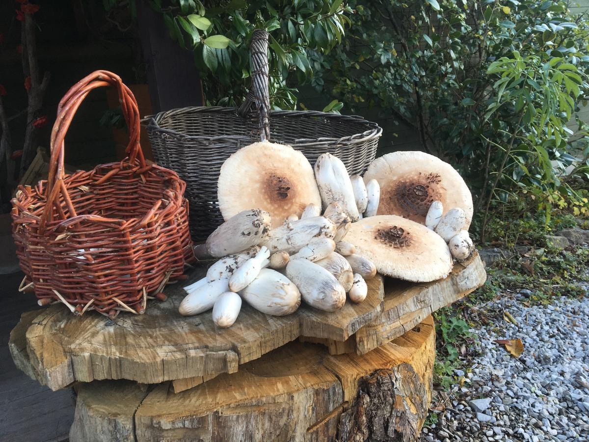 Agriturismo Il Mulino Stibiveri Szoba fotó